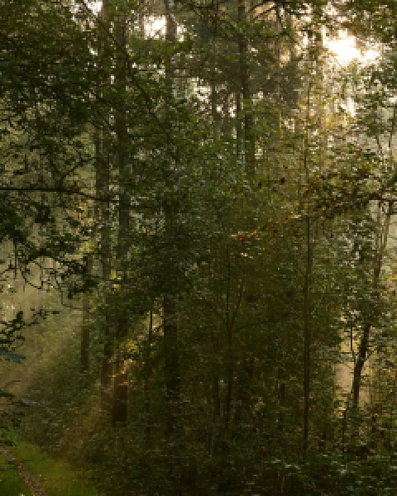 Kam vyrazit o víkendu? Polabí ožije hudbou, pohádkami i vůní Itálie