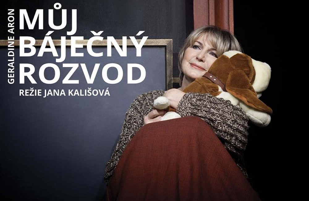 Můj báječný rozvod