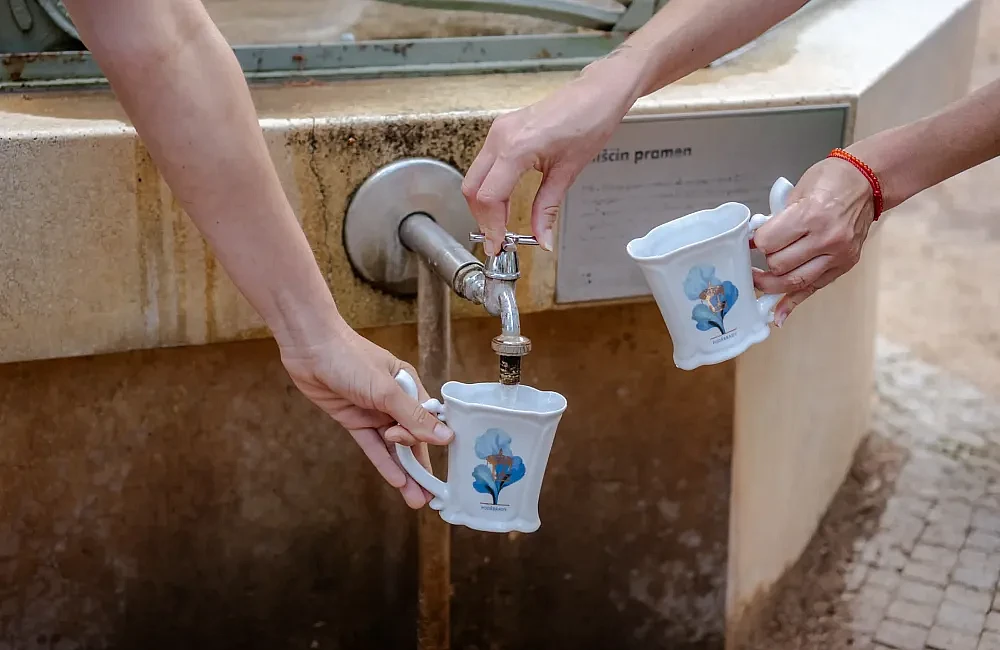 PODĚBRADY - ZA LÁZEŇSKÝMI PRAMENY