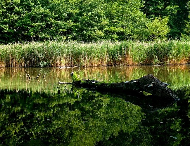 Z Kolína do Nymburka na kole podél Cidliny a Labe