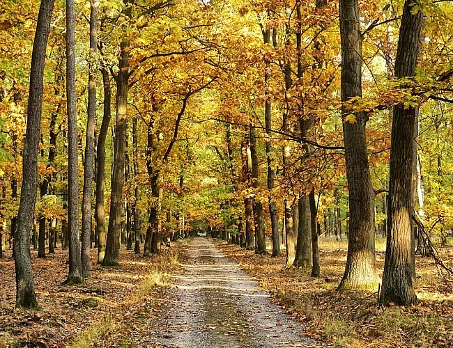 Z NYMBURKA HRABALOVÝM KERSKEM