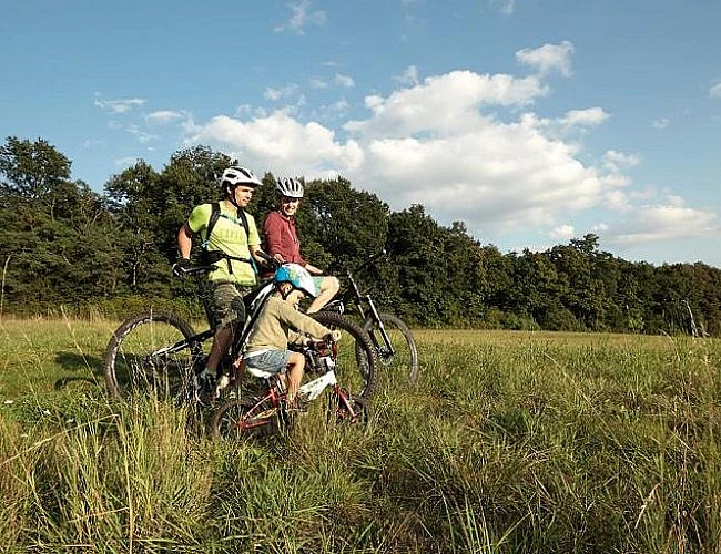 Okruh na kole staroboleslavskými lesy
