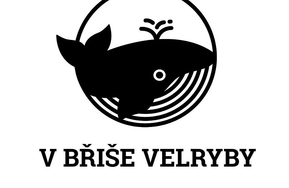 V břiše velryby