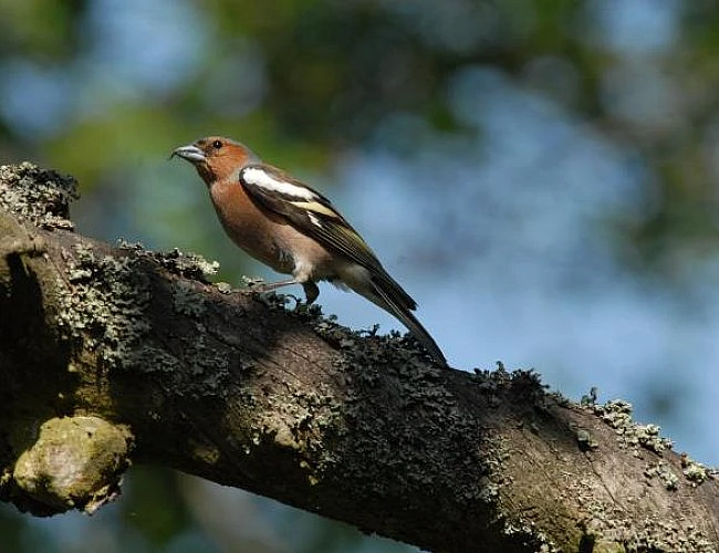 NAUČNÁ STEZKA CHLUM