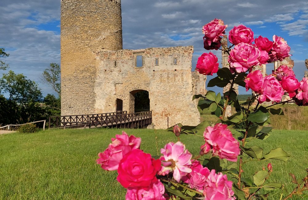 Ruin of Zvířetice Castle