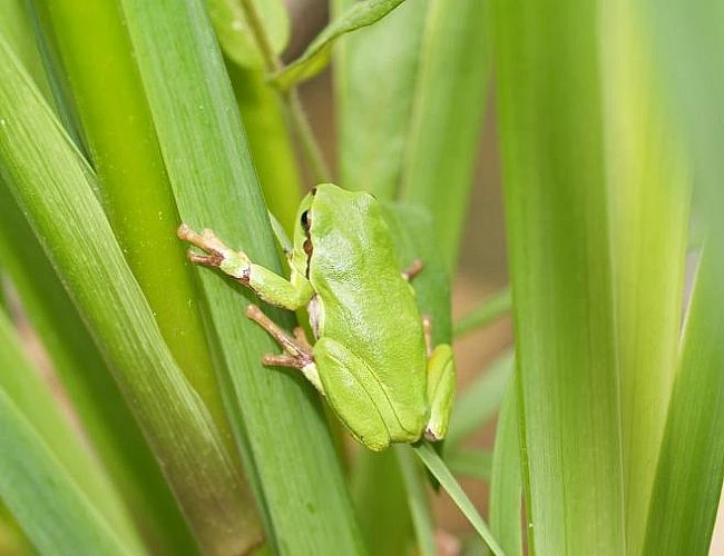 NAUČNÁ STEZKA CHLUM