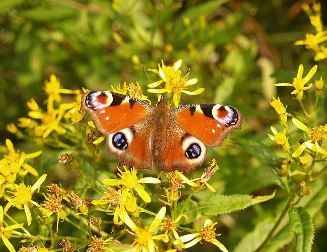 NAUČNÁ STEZKA CHLUM