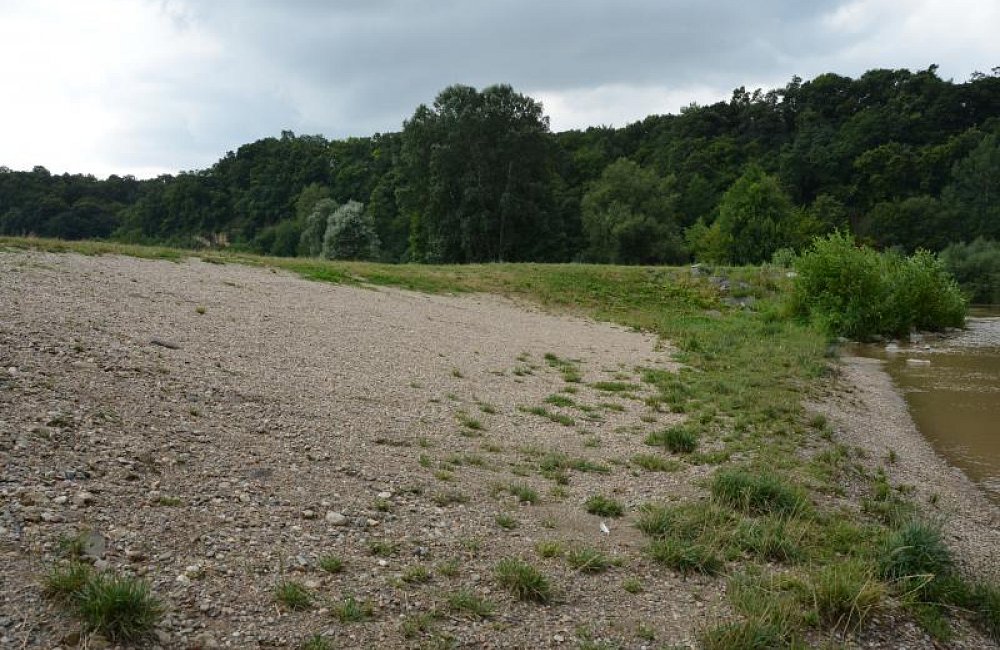 Krásná louka Mladá Boleslav