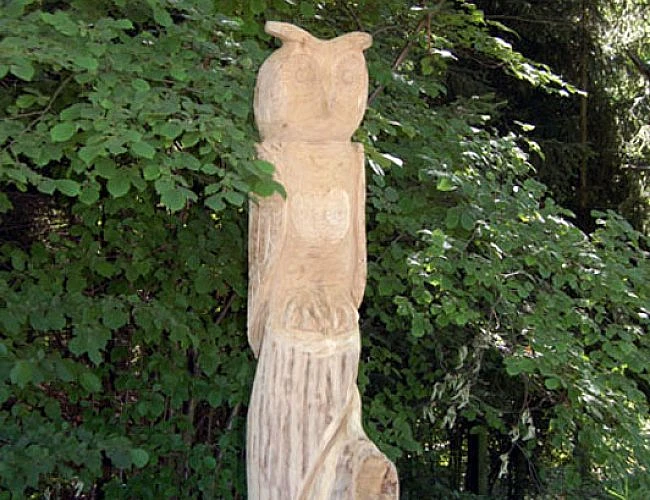 NAUČNÁ STEZKA KLOKOČSKÝM LESEM