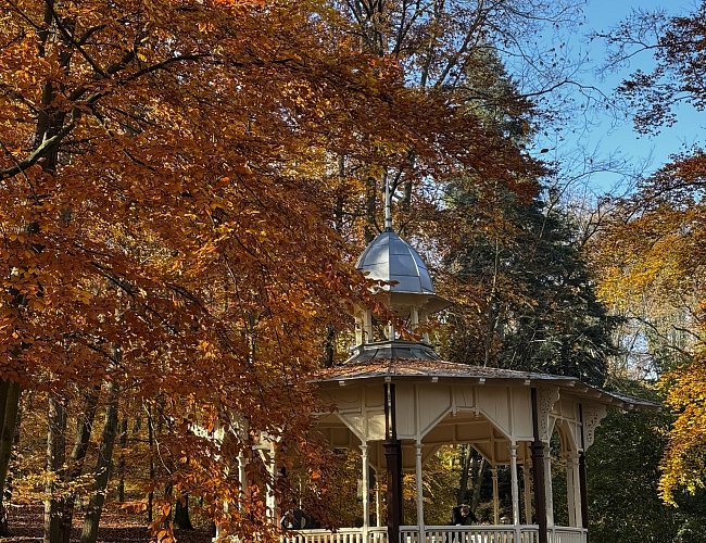 DĚTSKÁ NAUČNÁ STEZKA ZA VEVERKAMI