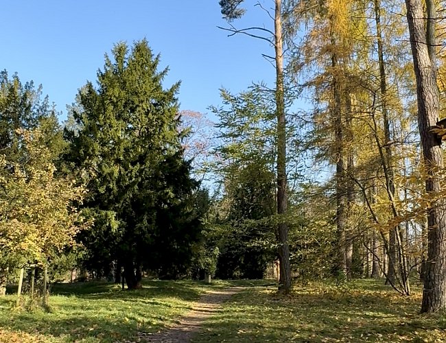 DĚTSKÁ NAUČNÁ STEZKA ZA VEVERKAMI