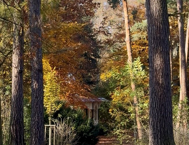 DĚTSKÁ NAUČNÁ STEZKA ZA VEVERKAMI