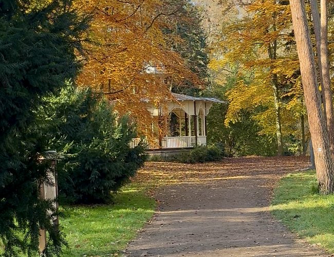 DĚTSKÁ NAUČNÁ STEZKA ZA VEVERKAMI