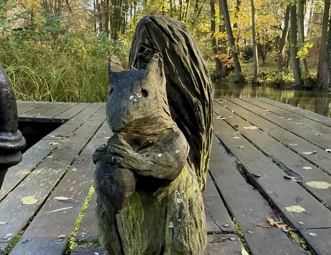 DĚTSKÁ NAUČNÁ STEZKA ZA VEVERKAMI