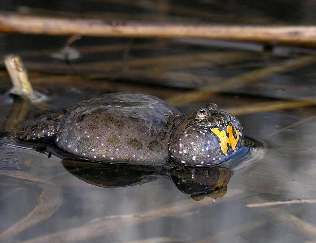 NAUČNÁ STEZKA PÍSÁK JIZBICE