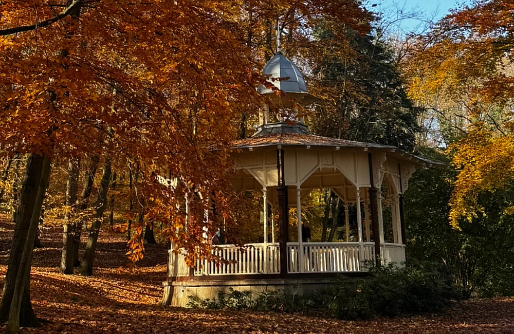 DĚTSKÁ NAUČNÁ STEZKA ZA VEVERKAMI