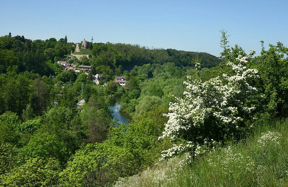 Zřícenina hradu Michalovice