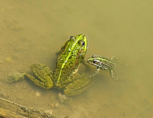 NAUČNÁ STEZKA PÍSÁK JIZBICE