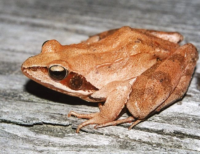 NAUČNÁ STEZKA PÍSÁK JIZBICE